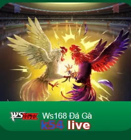 k54 live